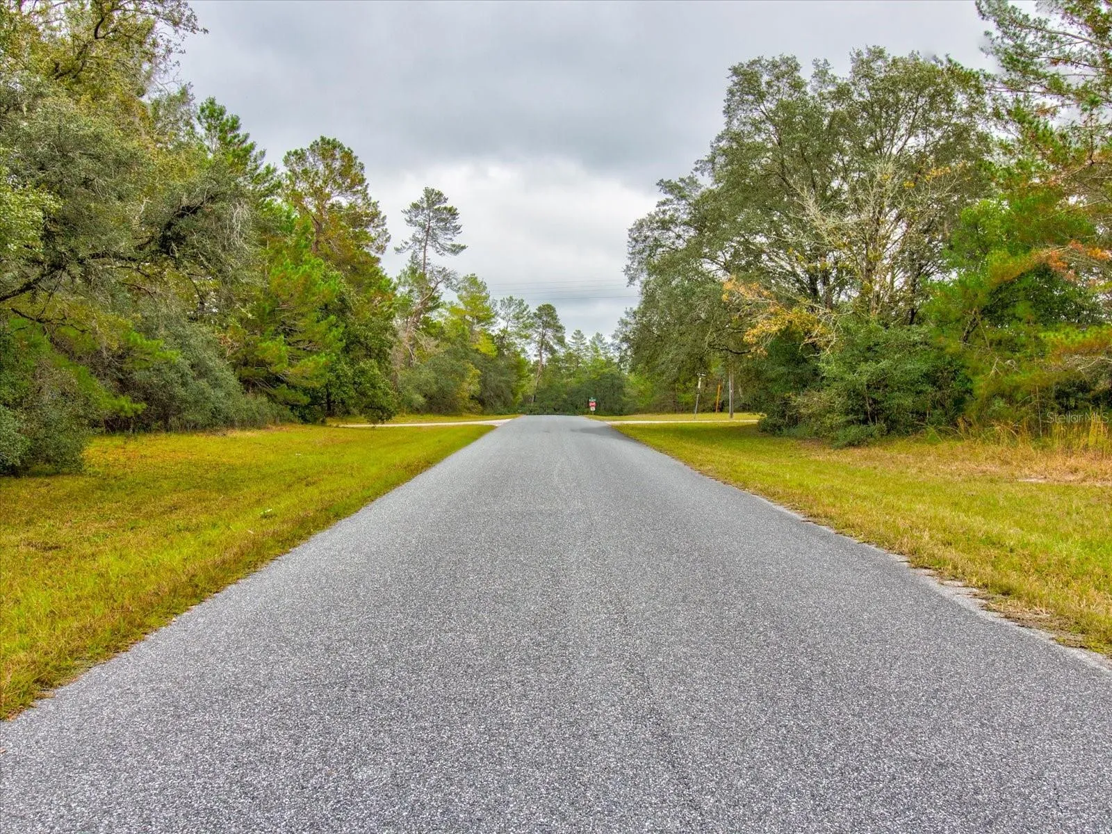 Ocala, Florida 34473, 0 , 0 ,0,Land,For Sale,148TH PLACE,0,T3488686