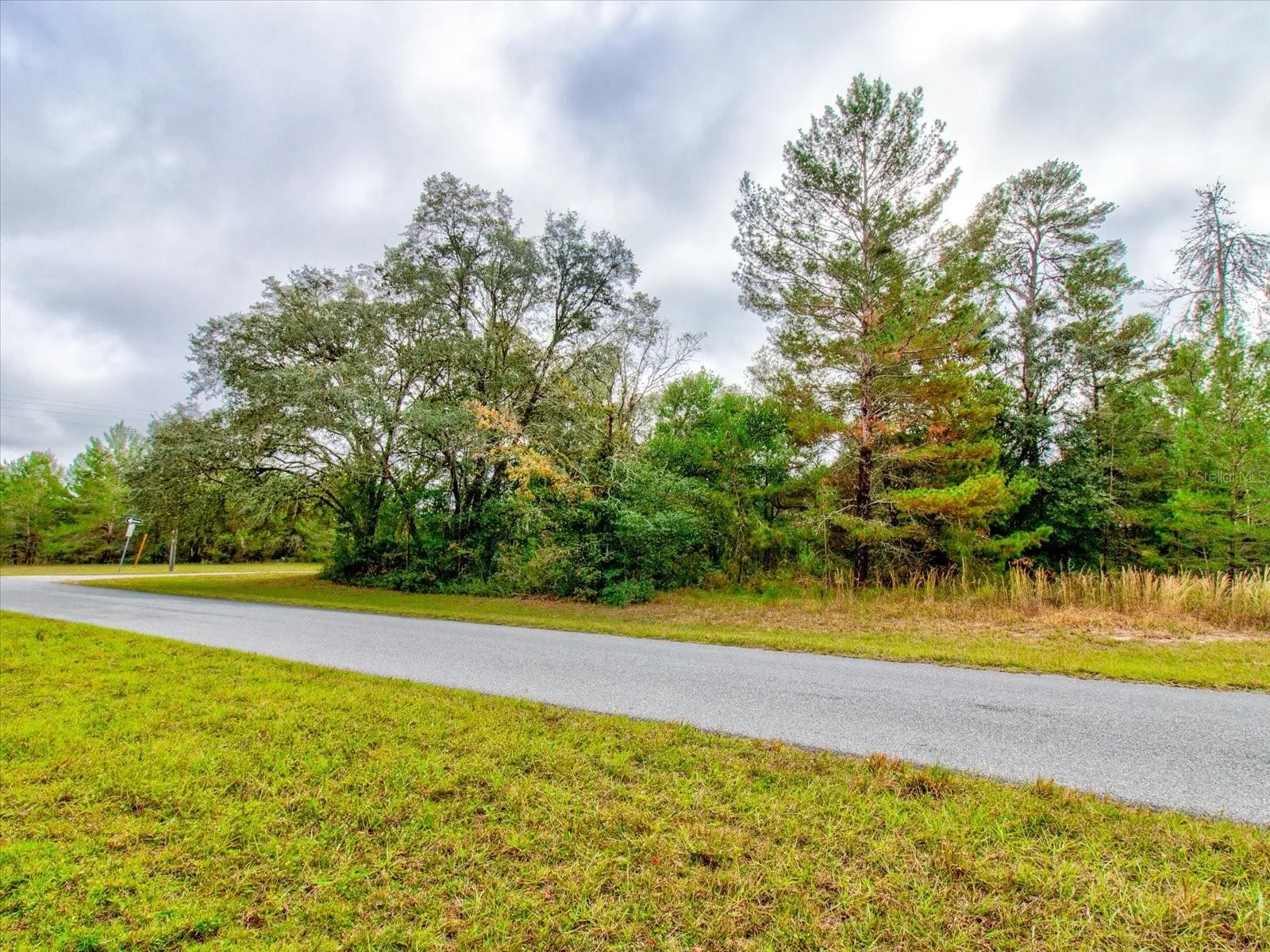 Ocala, Florida 34473, 0 , 0 ,0,Land,For Sale,148TH PLACE,0,T3488686