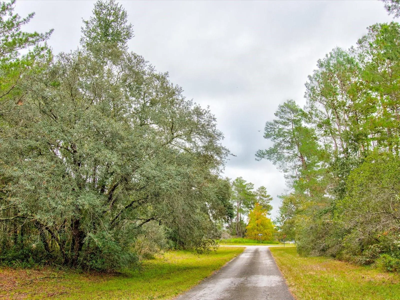Ocala, Florida 34473, 0 , 0 ,0,Land,For Sale,148TH PLACE,0,T3488686