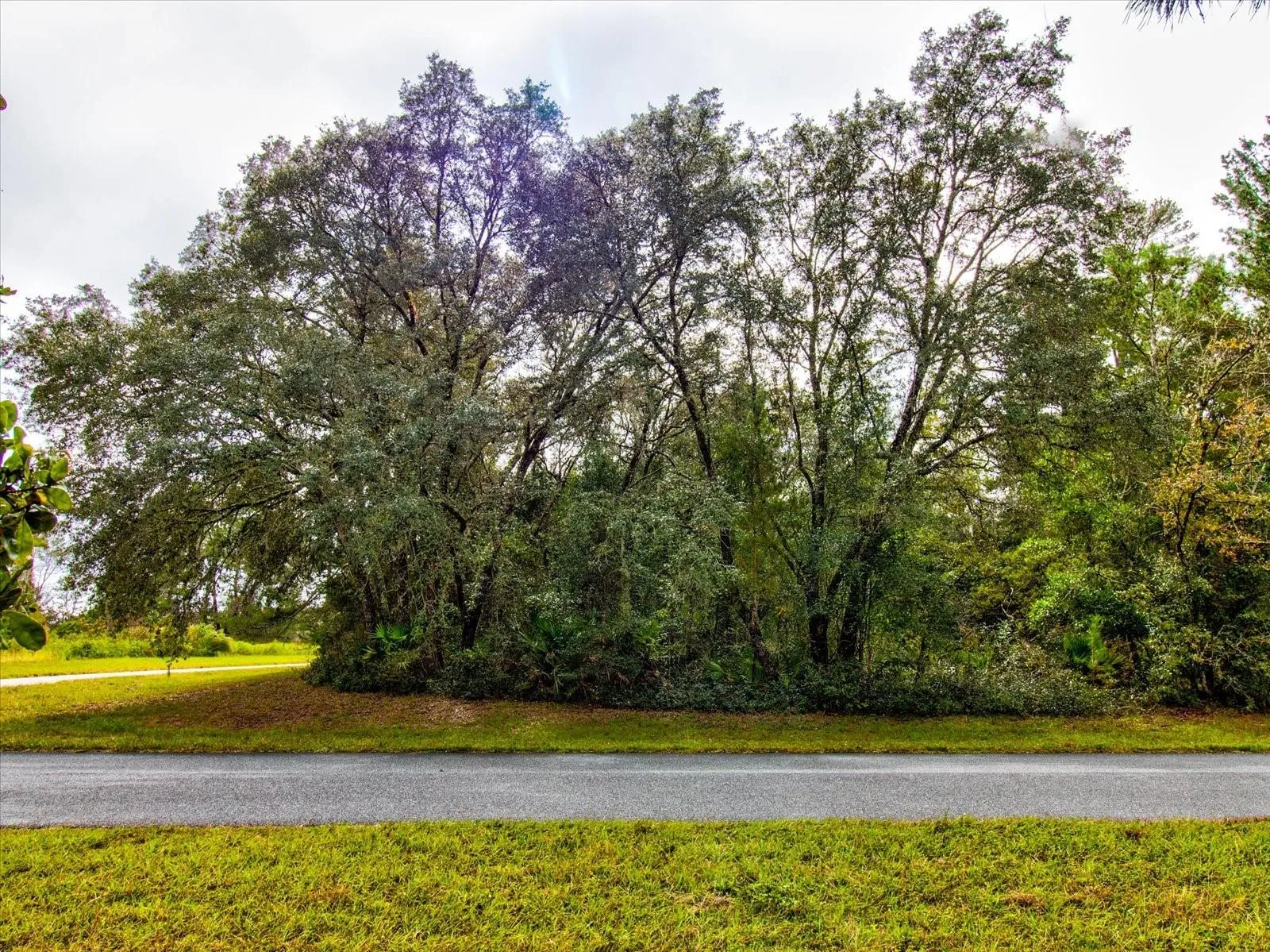 Ocala, Florida 34473, 0 , 0 ,0,Land,For Sale,148TH PLACE,0,T3488686