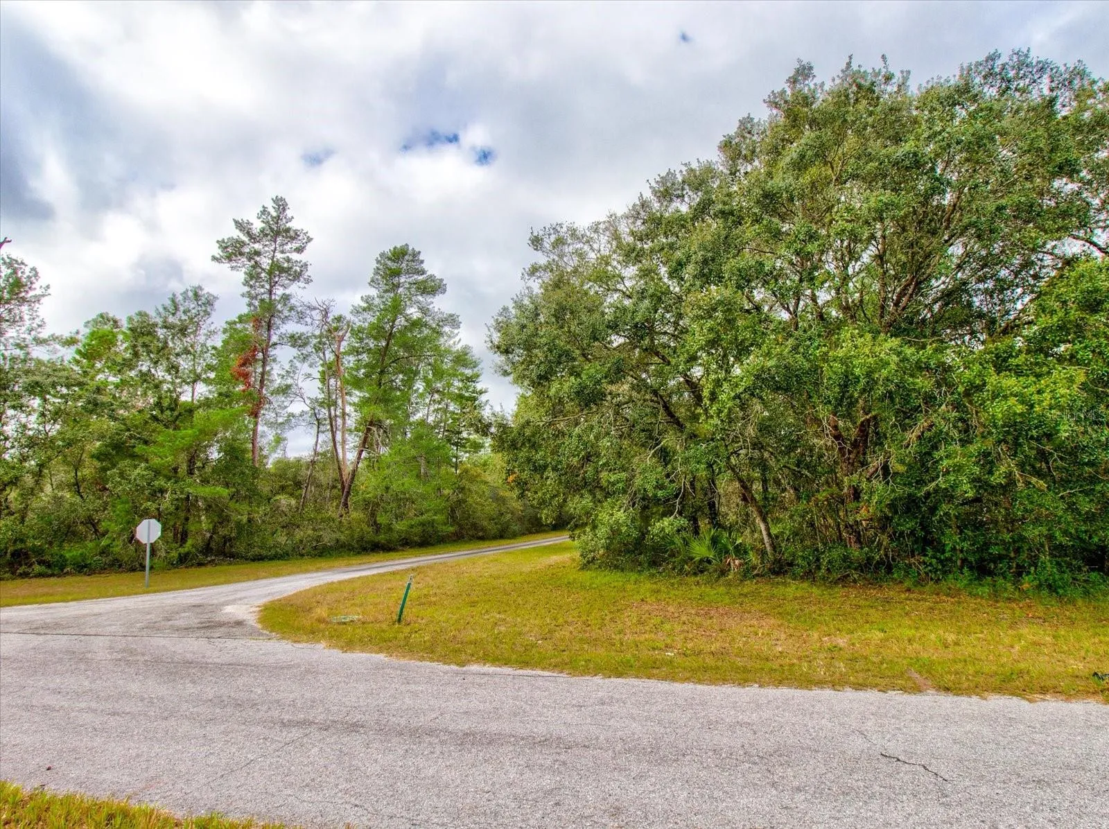 Ocala, Florida 34473, 0 , 0 ,0,Land,For Sale,148TH PLACE,0,T3488686