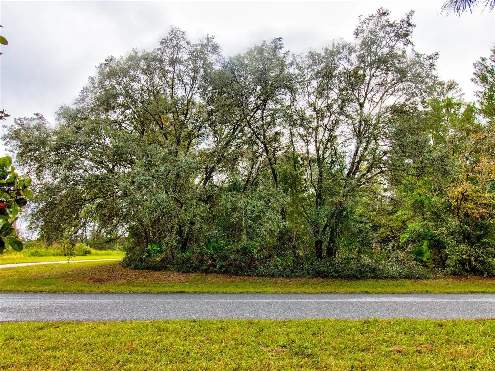 Ocala, Florida 34473, 0 , 0 ,0,Land,For Sale,148TH PLACE,0,T3488686