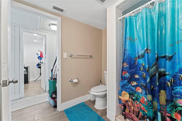 Bathroom shower - downstairs