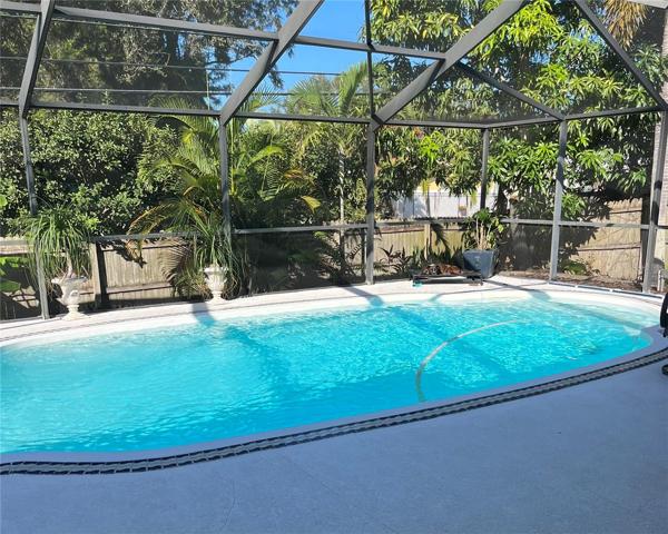 Enclosed salt water pool and large patio area