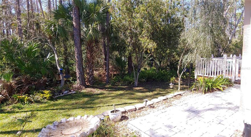 Back Yard Looking West