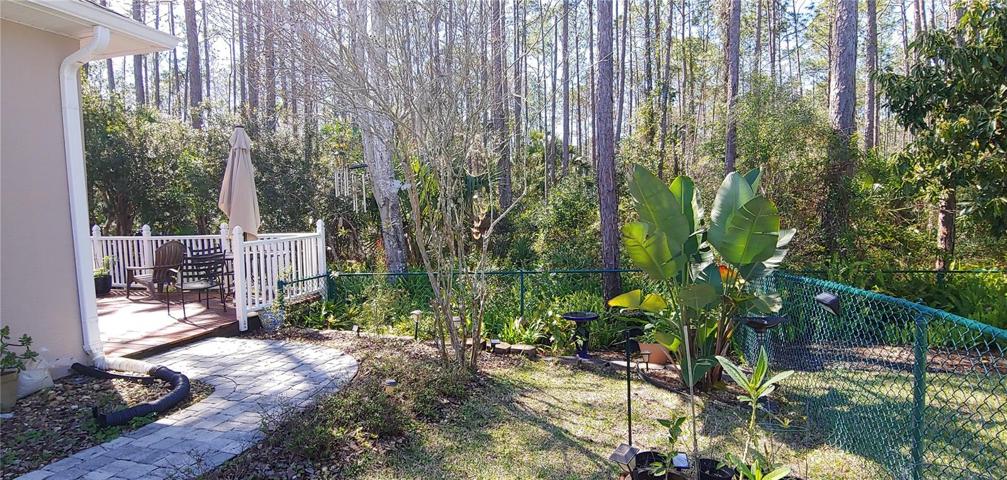 Side Yard