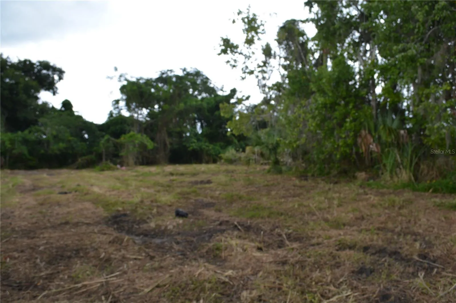 Three parcel  nubers being sold under one closing