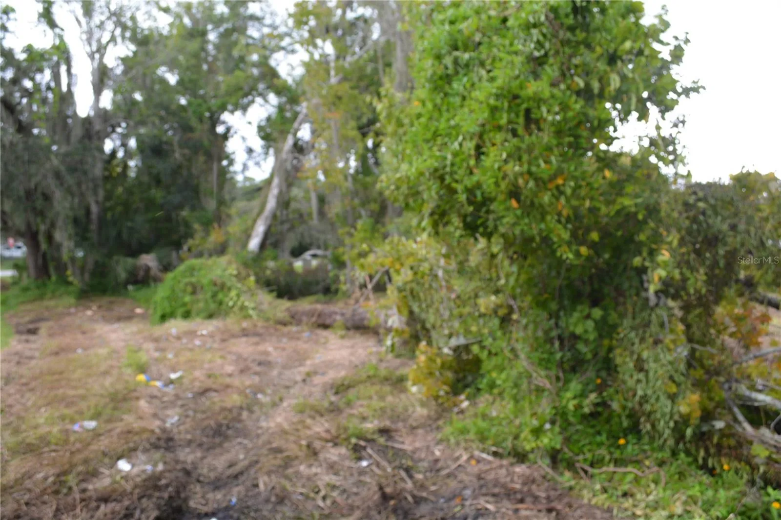 These lots are long lots 154, deep