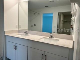 Primary ensuite vanity.