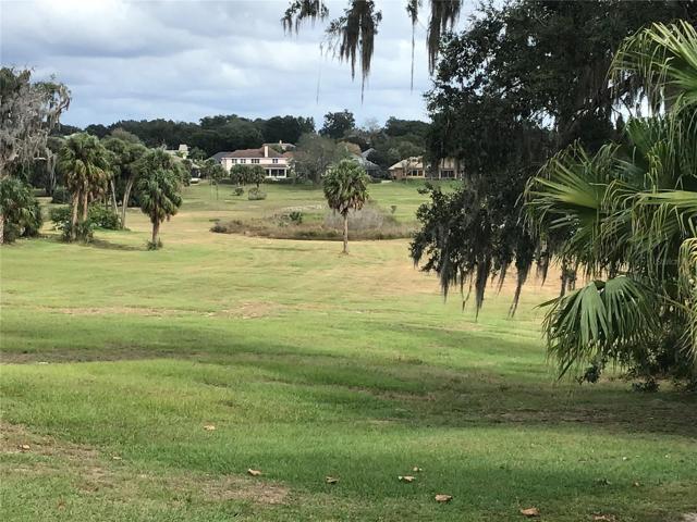 View from Rear Yard
