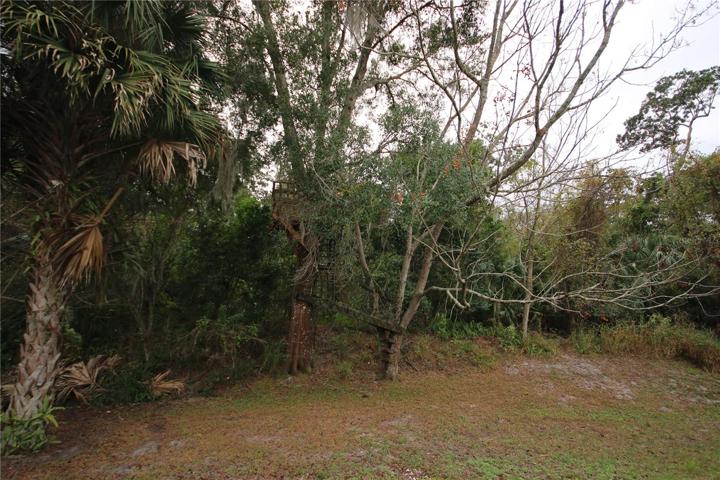 View of the nature preserve right behind this home.