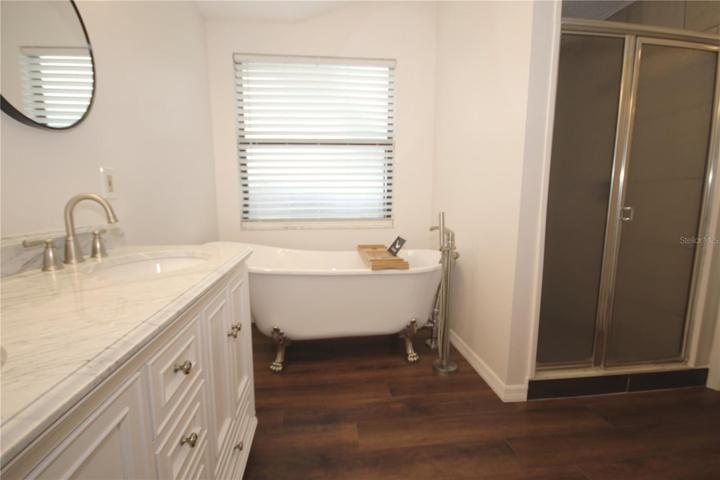 Walk in shower and claw foot tub in master bathroom