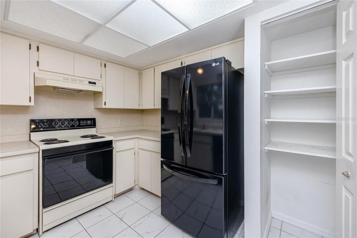plenty of cabinent and pantry space