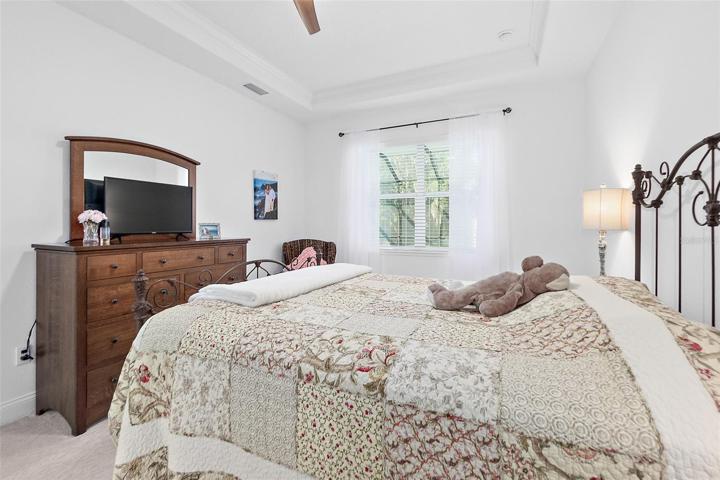 Tray Ceiling & Ensuite Bathroom