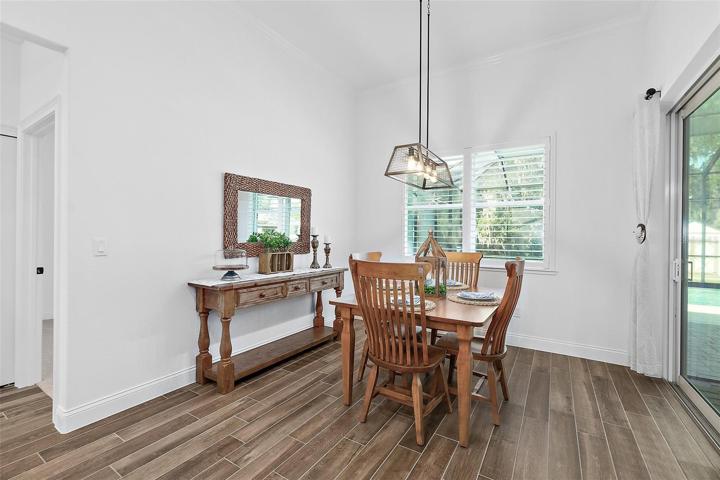 Window & Custom Light Fixture