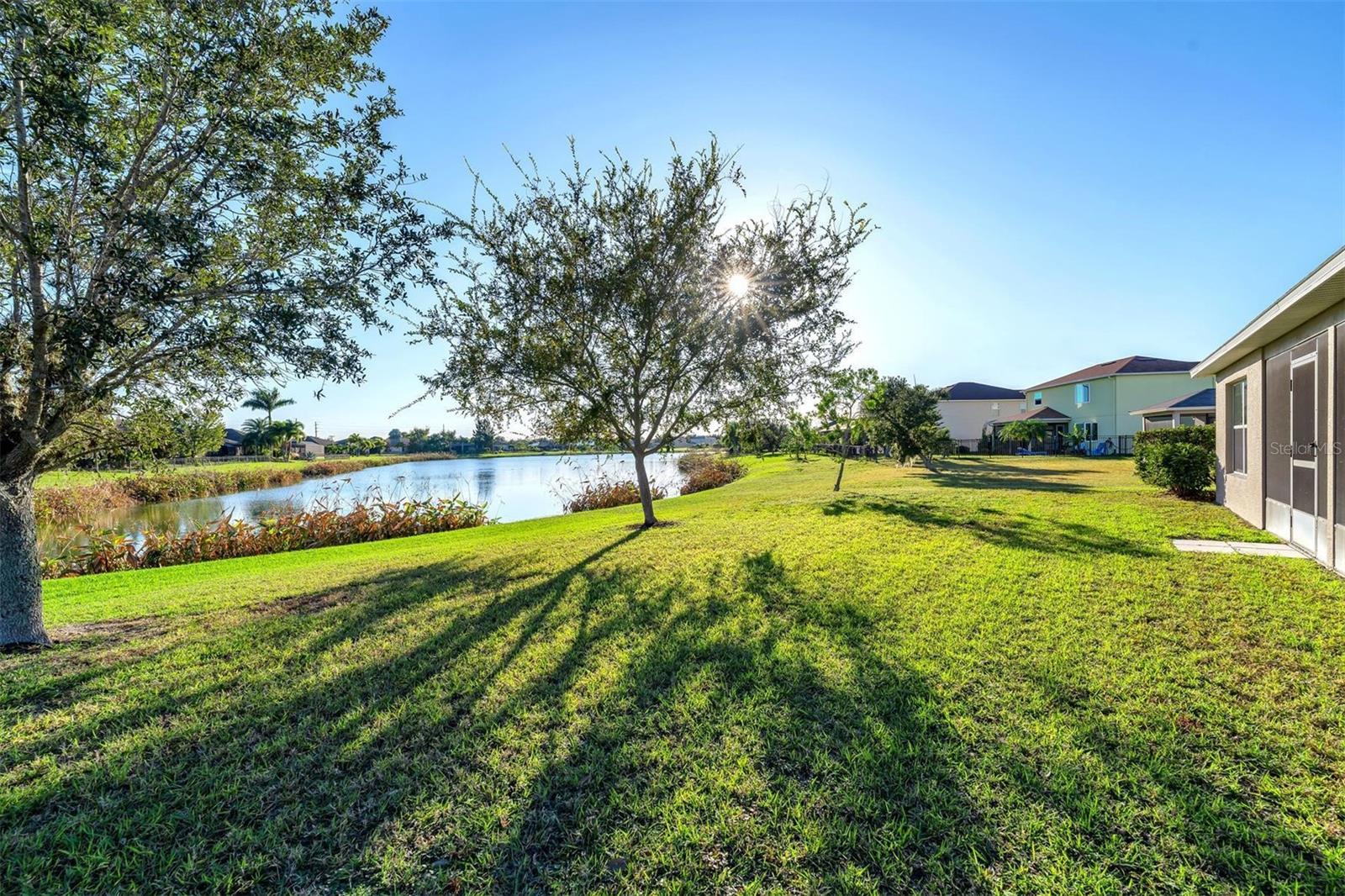 Back area over looking pond