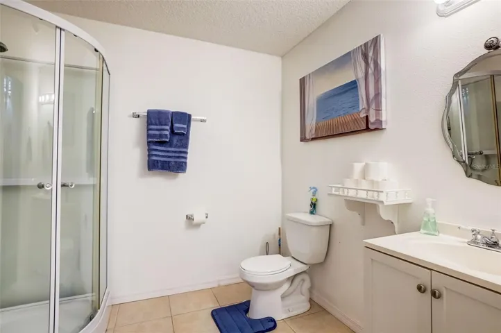 Basement Bathroom