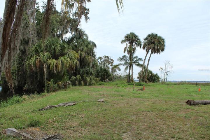 Open land and trees