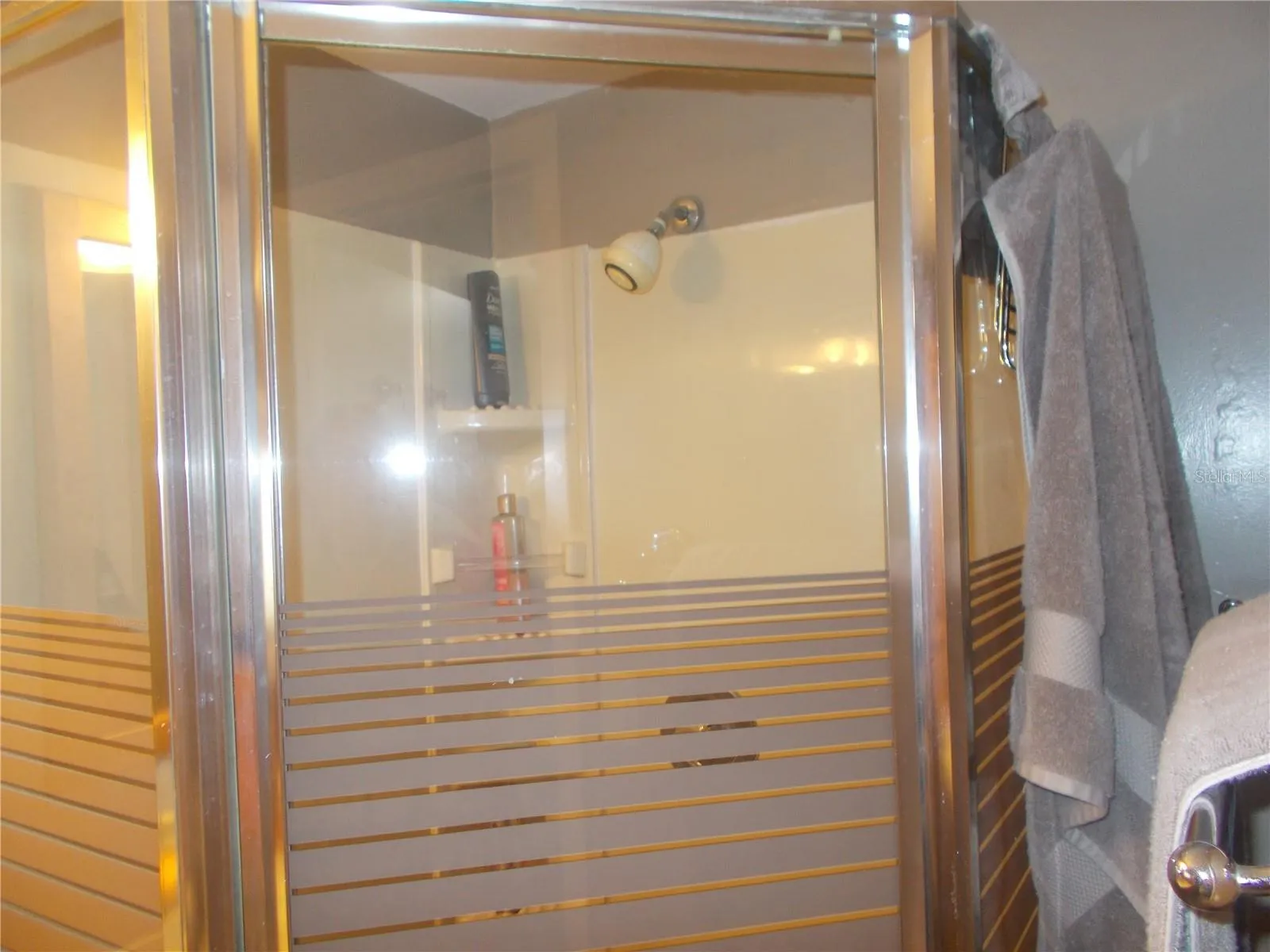 Shower in Master Bathroom