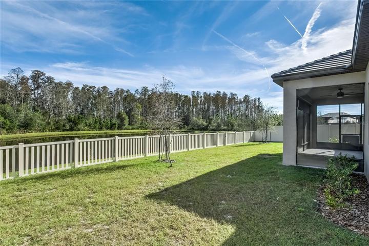 view from back yard
