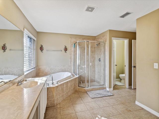 Garden Tub and Shower