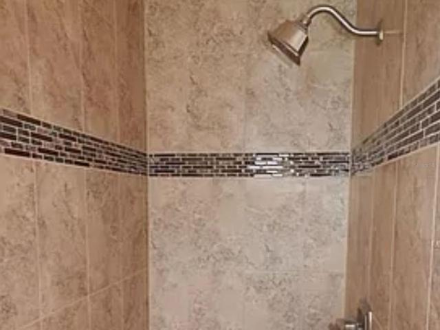 Master Bathroom Shower