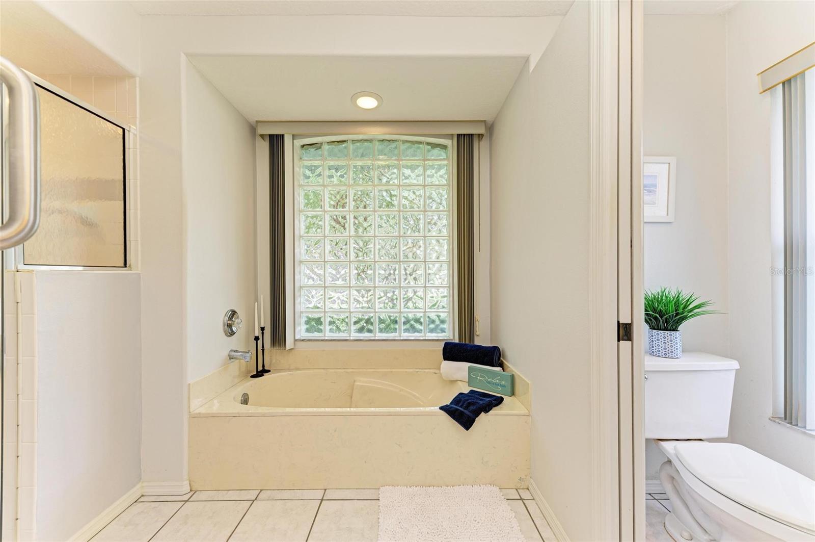 Garden tub with beautiful glass block