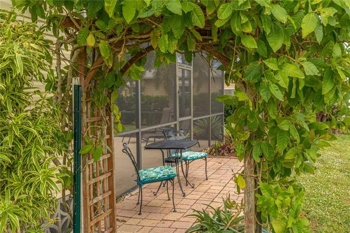 Landscaped arch back yard