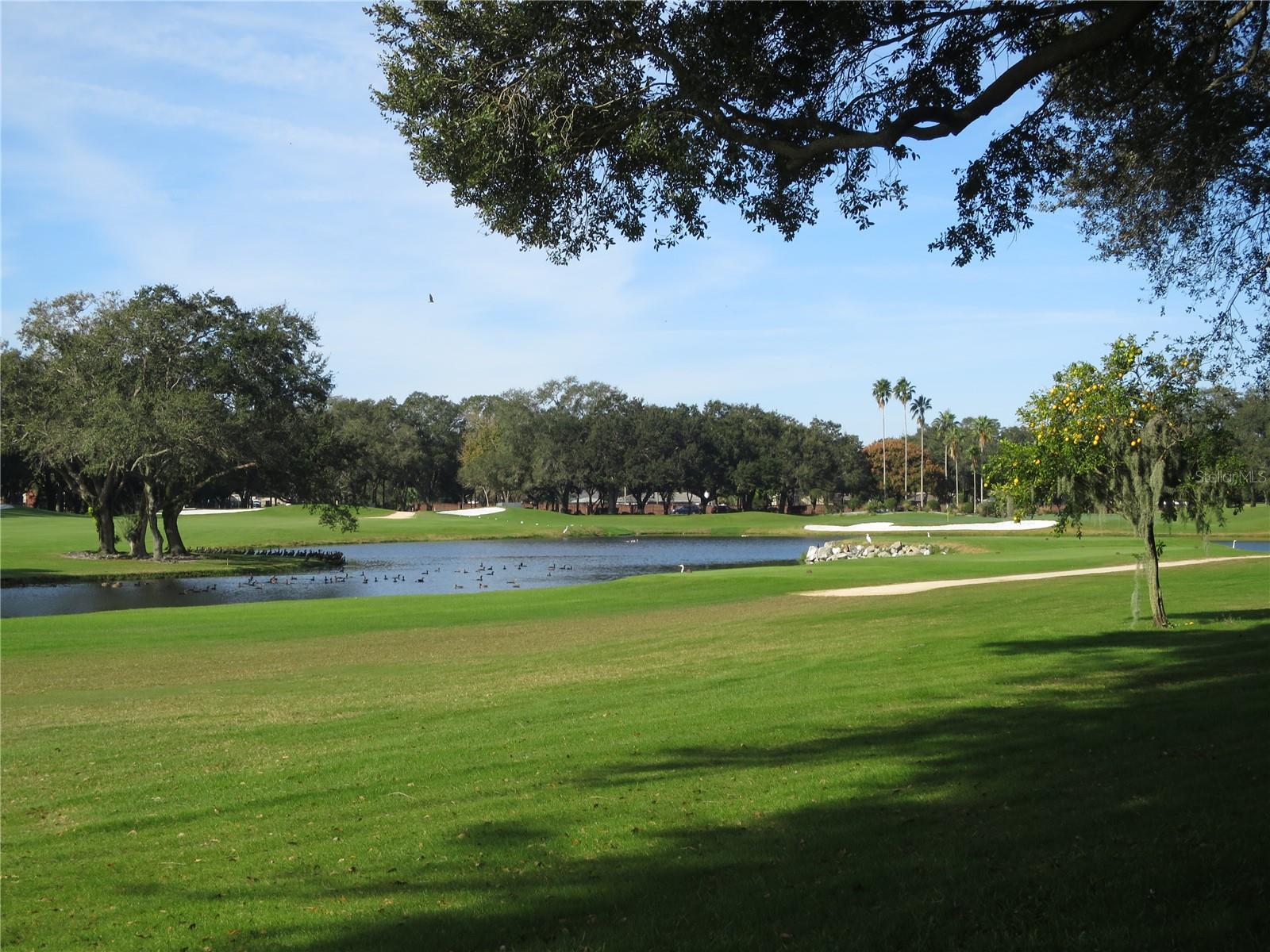 Golf Course surrounding area