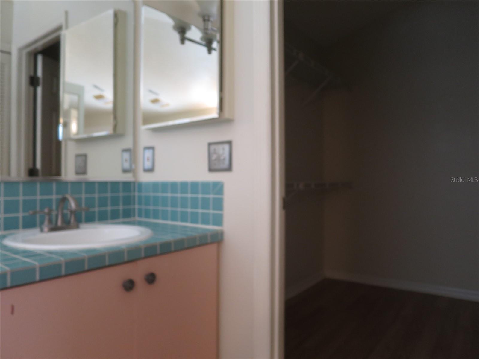 Master Bathroom by the Walk in closet