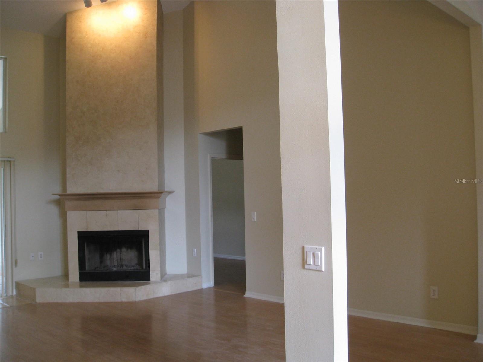 Fireplace in Family Room