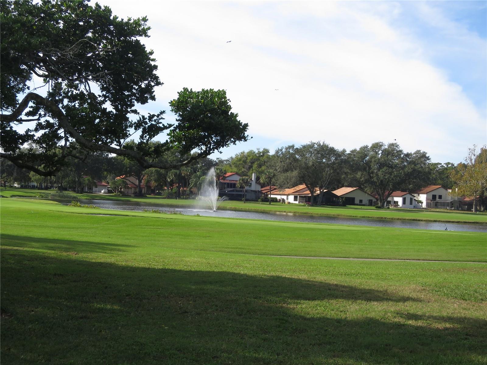 Golf Course Scenery