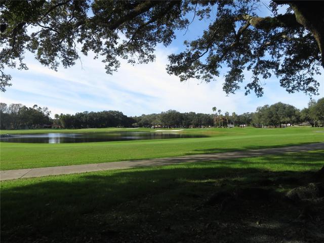 Golf Course surrounding area