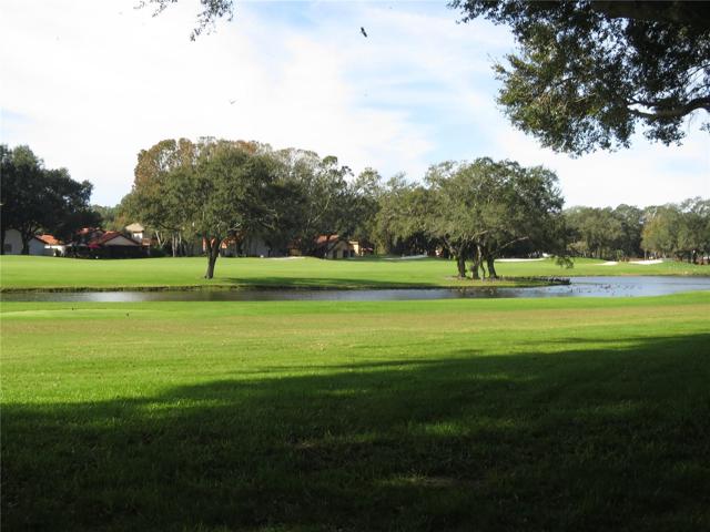 Community Scenery