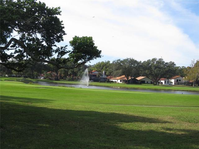 Golf Course Scenery
