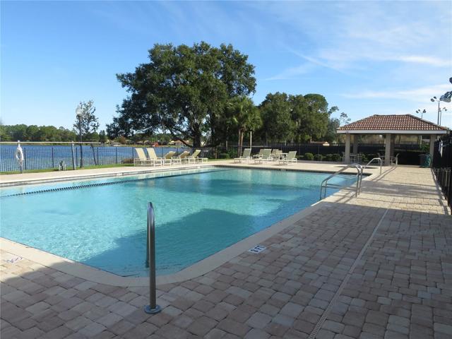 Community Pool area