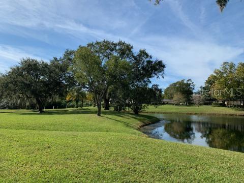 View from  Breakfast room