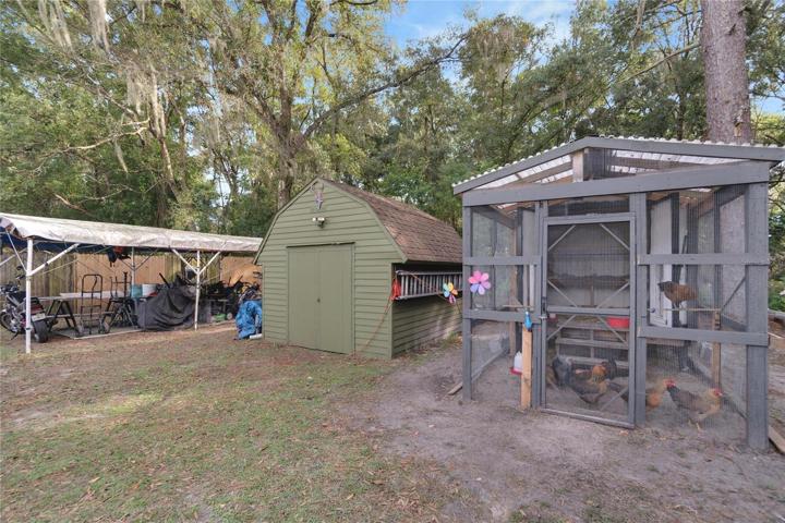 Canopy, storage shed and chicken coop