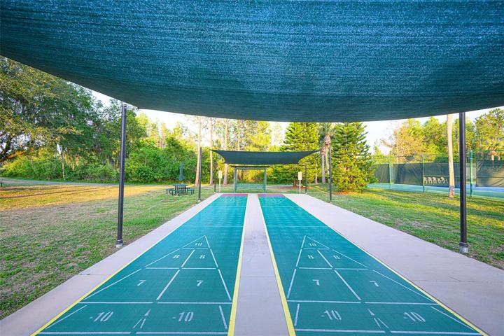 shuffleboard