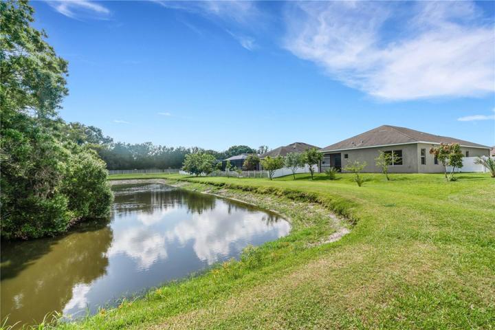 Pond view