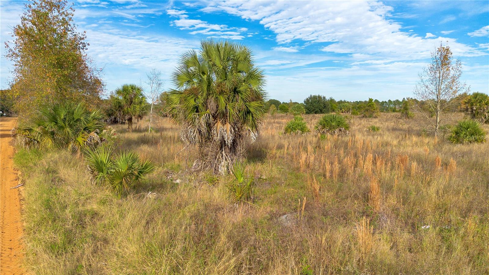 Tavares, Florida 32778, 0 , 0 ,0,Land,For Sale,EICHELBERGER,0,O6161840