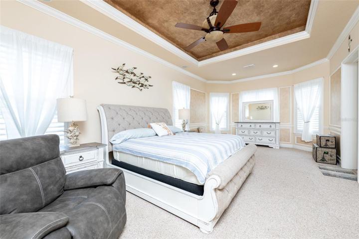 Master Bedroom- Tray Ceilings