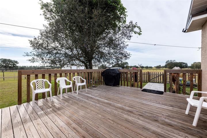 Back Porch