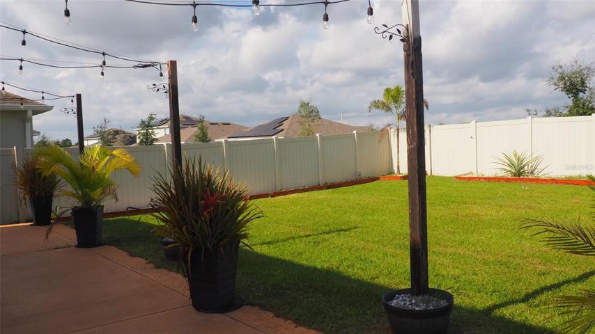 Back yard