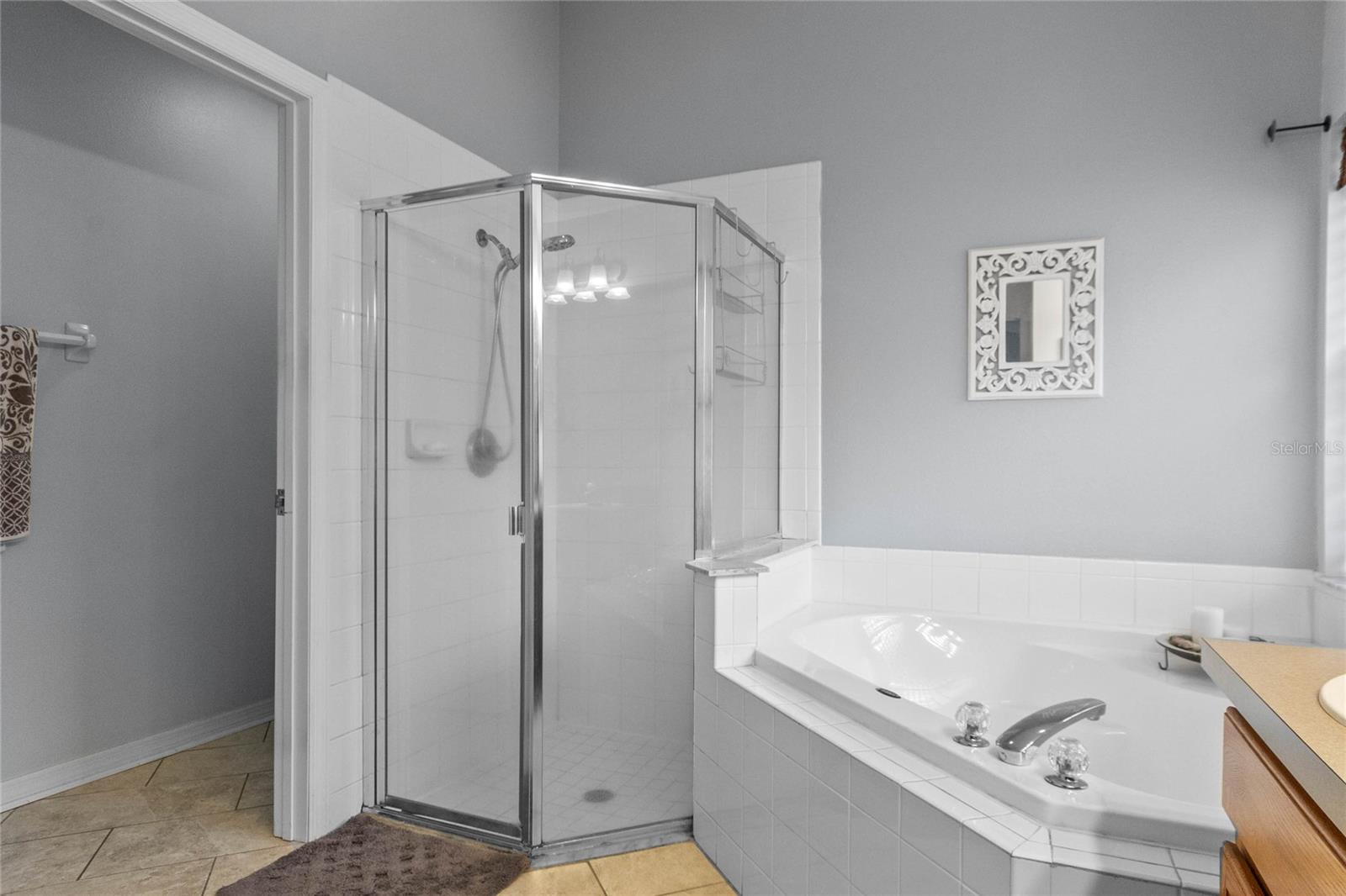 Primary bath. Double sink. Separate bath and shower.