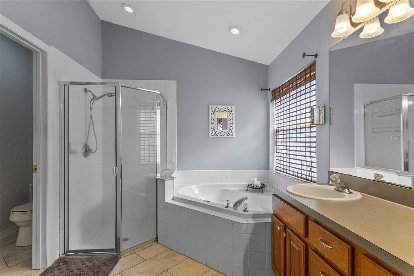 Primary bath. Double sink. Separate bath and shower.