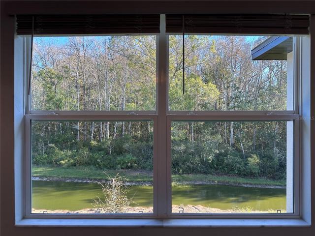 View from Primary Bedroom