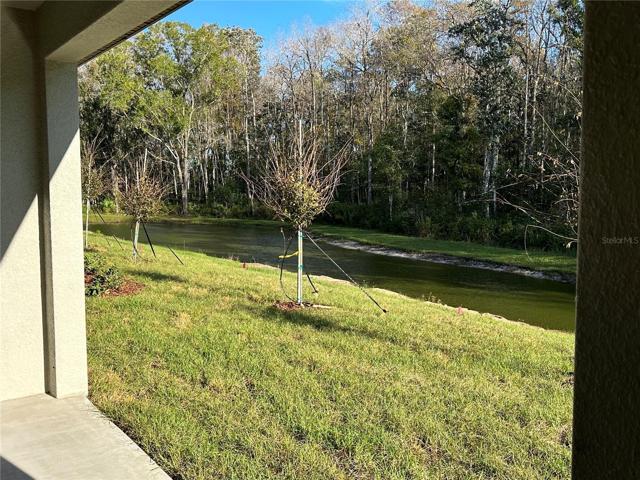 View from patio