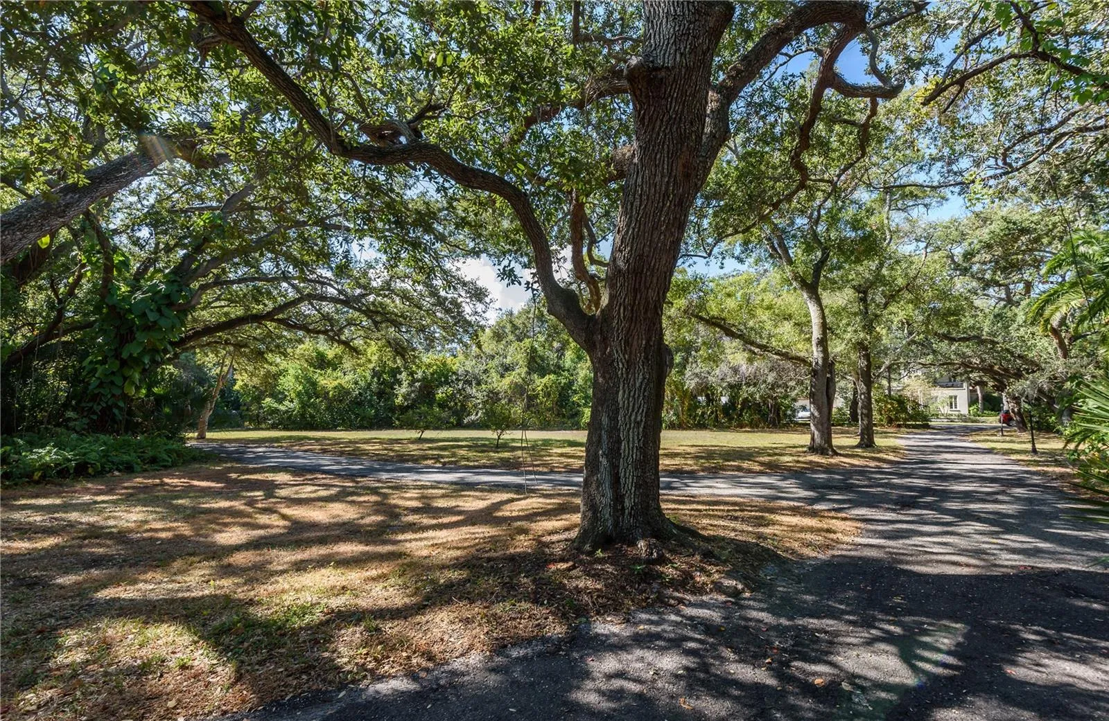 Tampa, Florida 33611, 0 , 0 ,0,Land,For Sale,BAYSHORE,0,T3490205