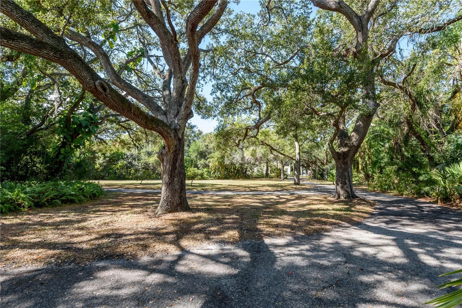 Tampa, Florida 33611, 0 , 0 ,0,Land,For Sale,BAYSHORE,0,T3490205